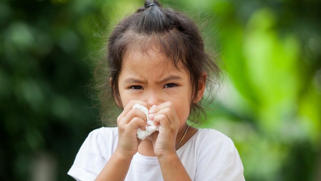 cara mengatasi hidung tersumbat