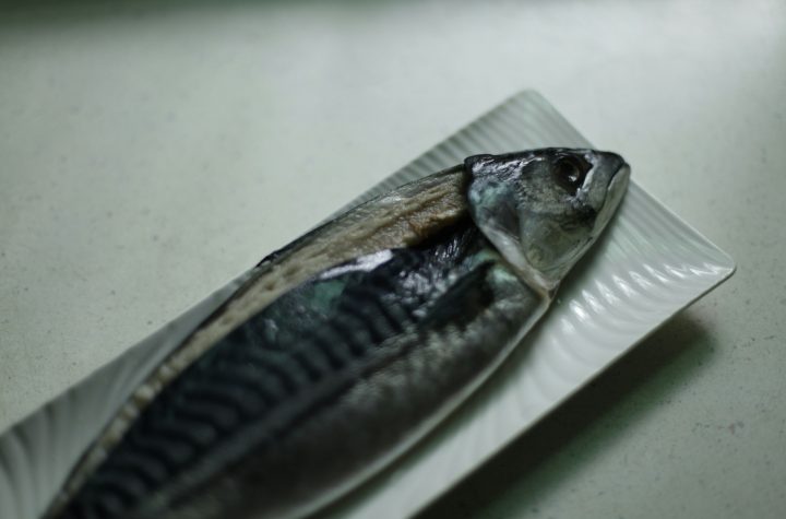 Tips fillet ikan